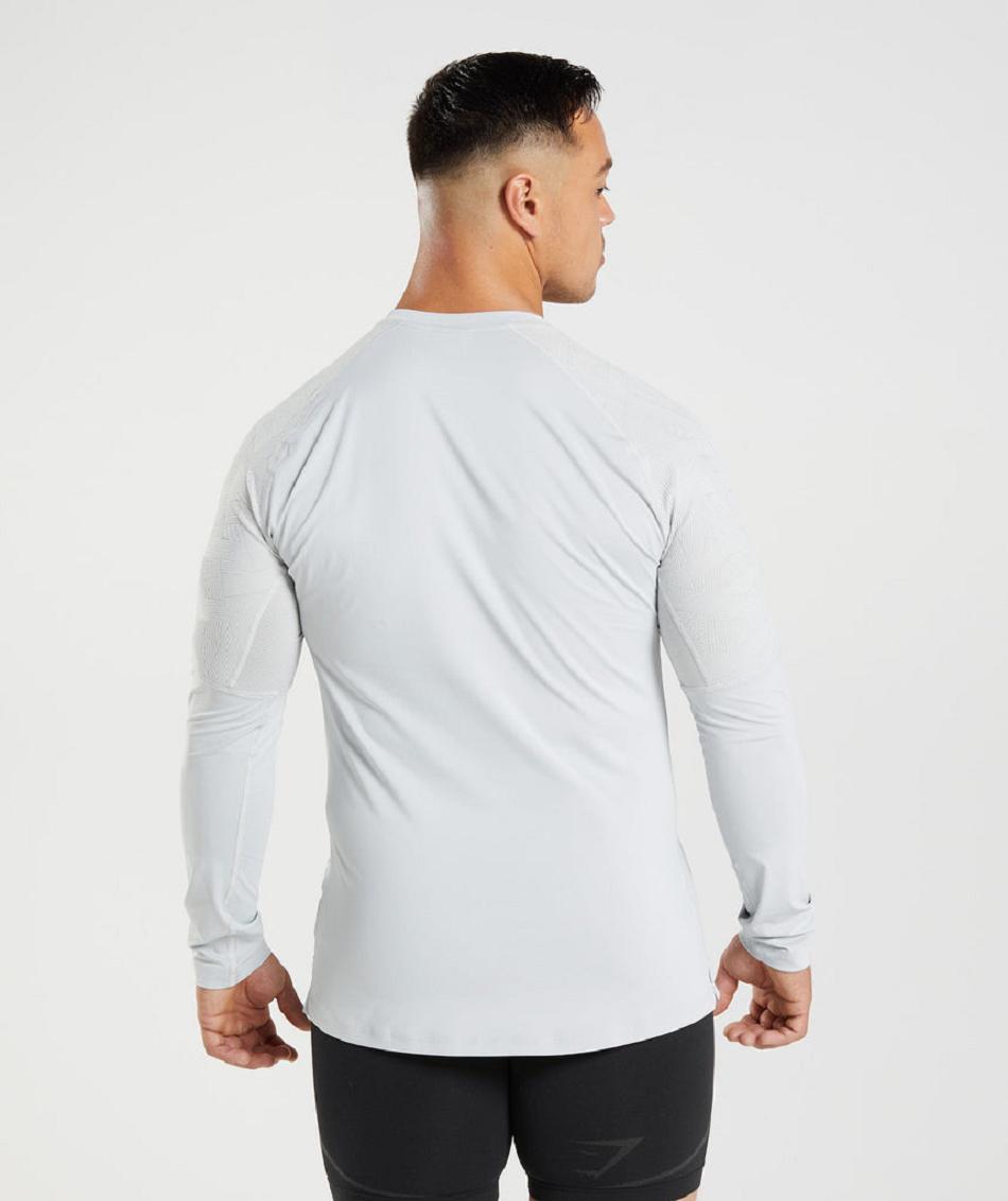 Gymshark 315 Muške Dugi Rukav Svijetlo Sive | HR 2621PJJ